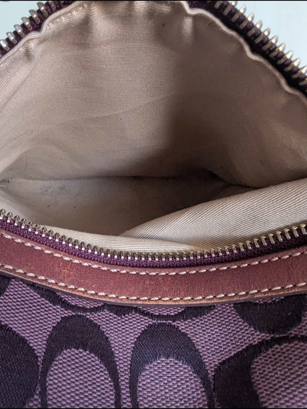 Coach Brown Signature Canvas Hobo Bag